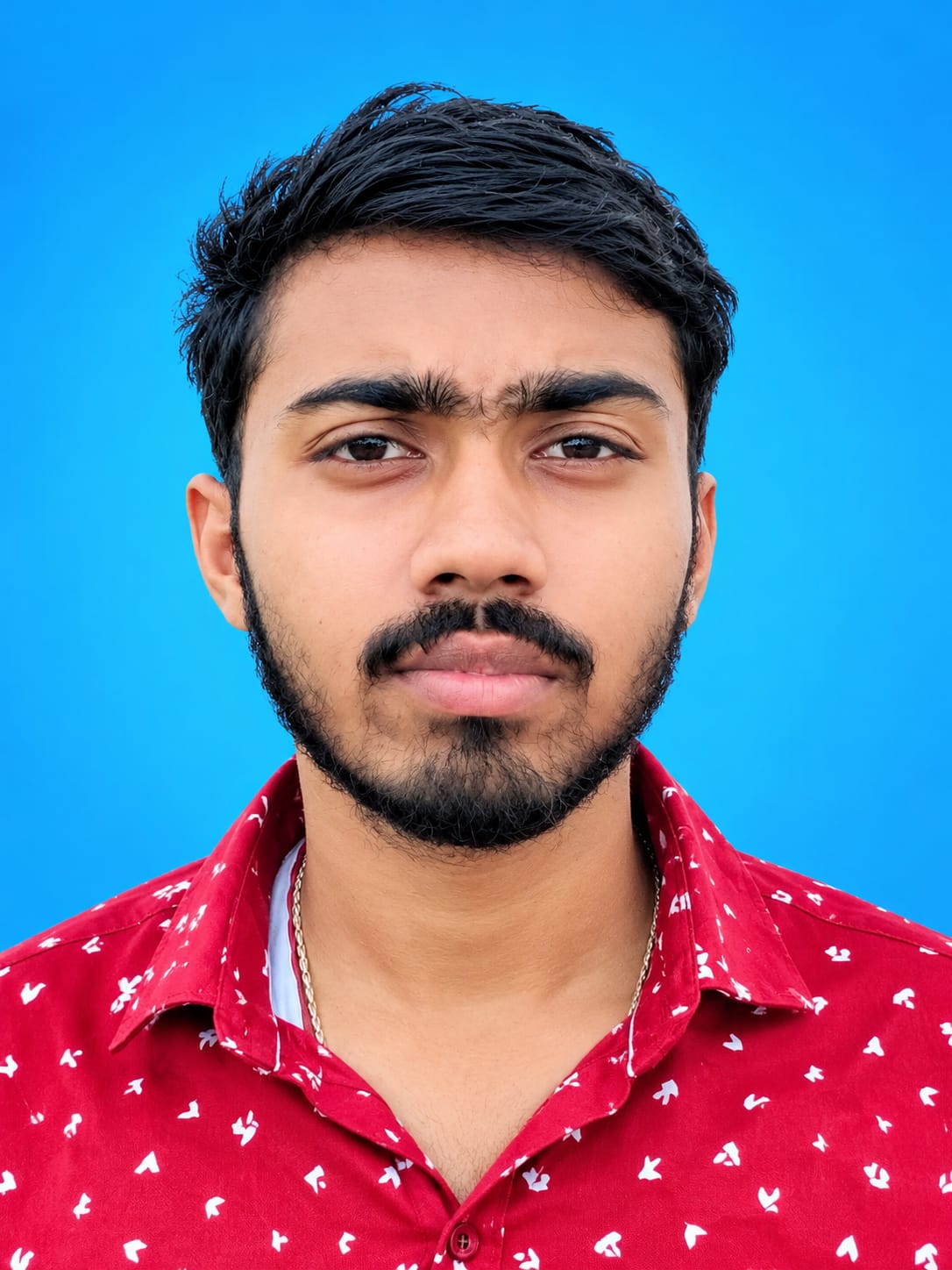 Bijay Seva Portal